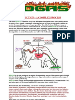 Biogas Compendium 2