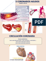 8.sindromes Coronarios