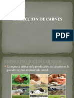 Inspeccion de Carnes