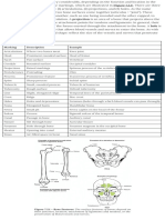 Bone Markings Guide | PDF
