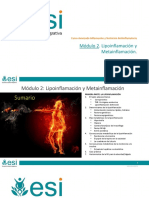 Modulo 2 Lipoinflamacion y Metainflamacion