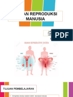 Anatomi Organ Reproduksi Manusia (Wanita)