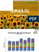 Girasol Tec 2021