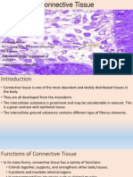 BSC Connective Tissues PDF