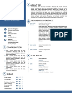 Editable Resume Professional One Page