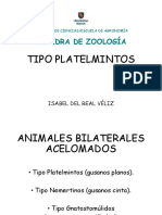 Presentación 7. Platelmintos.