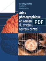 Atlas photographique en couleur du système nerveux central - coursdemedecine.blogspot
