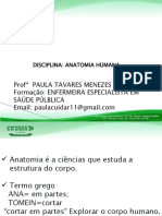 Slides Anatomia