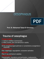 3-Pharynx. Oesophagus