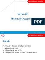 Section 09 PHOENIX SYSTEM