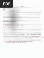 1909-6-2wittich5 GUANAJUATO ESPECIES MINERALES | PDF