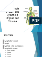 Gmae Lymph System 1aaa 1 1