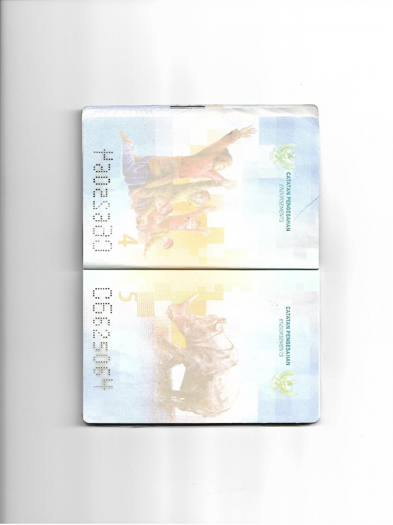 Passport | PDF