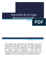 CLASE 4. VALORACION CARGA BACTERIANA (VACAB) PDF