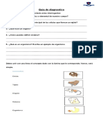 Guía de Diagnostico