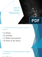 Quiz Photosynthesis 