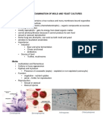 MCB 180 Exer 1 Molds and Yeasts Handout