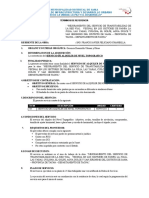 TDR - Serv. Nivel Topografico