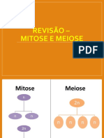 Mitose Meiose22