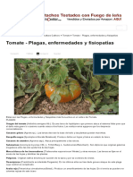 Tomate - Plagas, Enfermedades y Fisiopatías