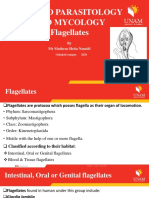 Flagellates. Applied Parasitology & Mycology