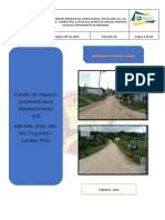 Informe Ambiental Copallin