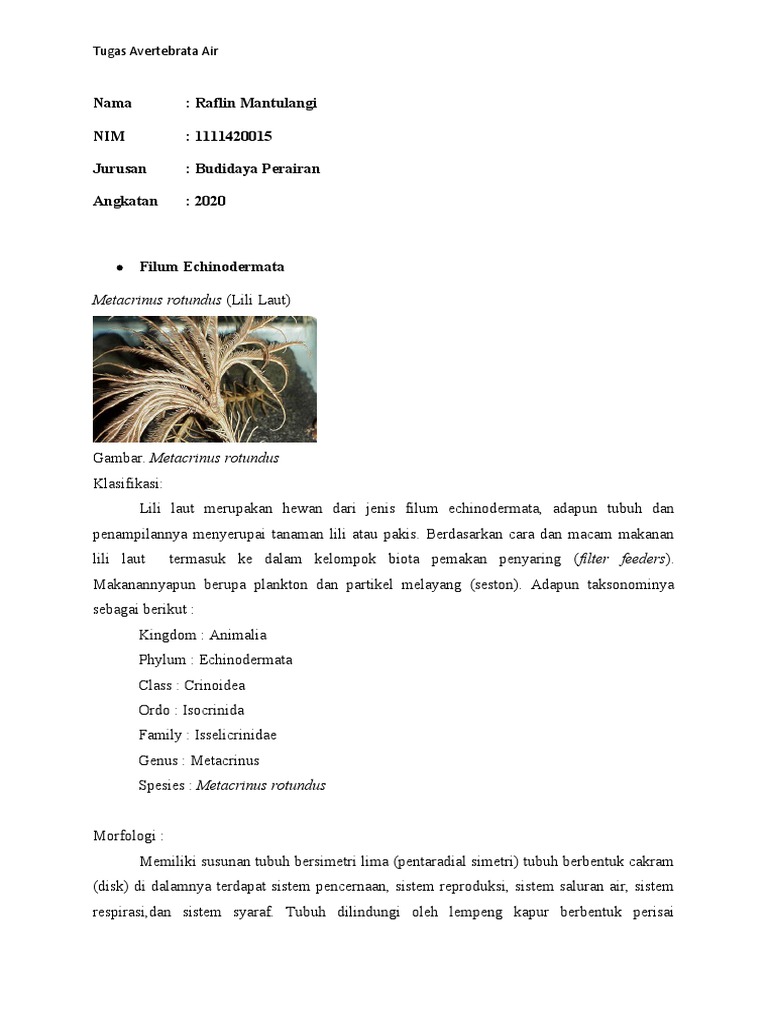 5 Filum | PDF