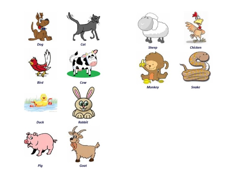 Animal Names and Pictures for Kids | PDF
