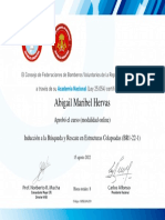 BR1-22-1 - 1 - Certificado Del Curso