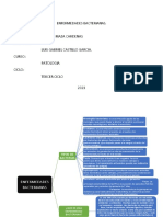 Enfermedades Bacterianas M.C
