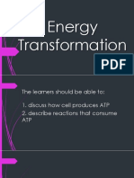 Energy Transformation (N)