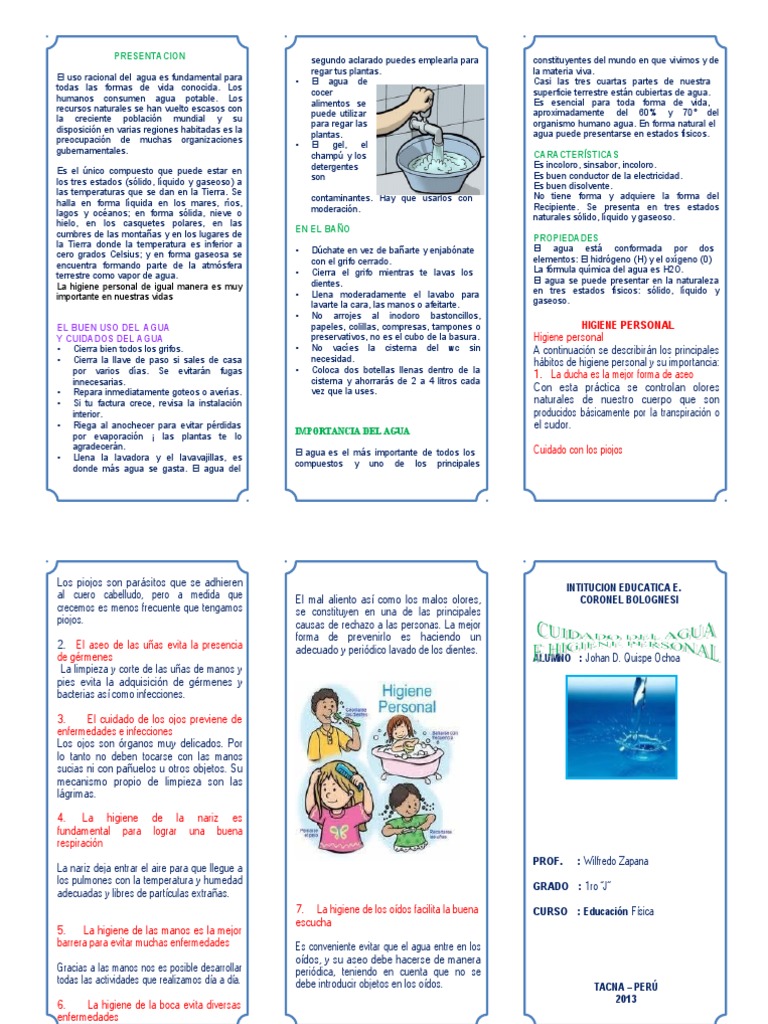 Tríptico sobre el Cuidado del Agua | PDF | Agua | Higiene