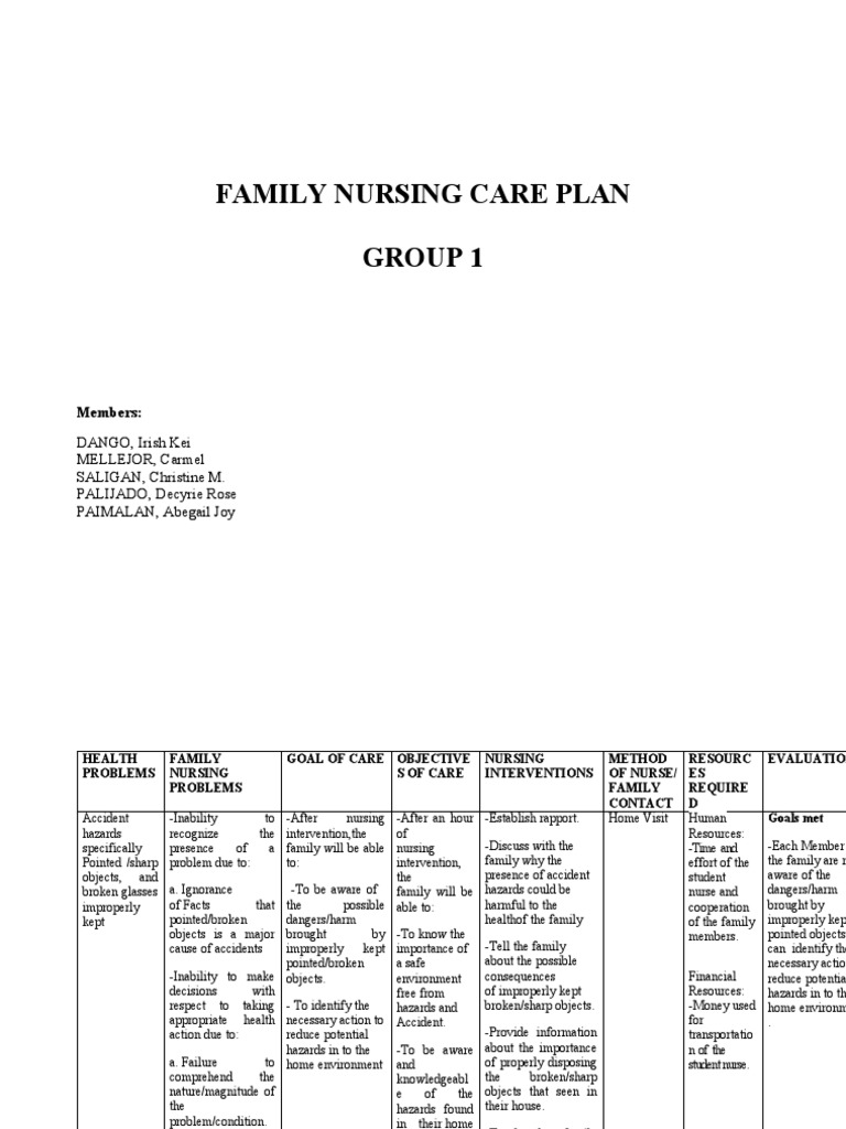 Family Nursing Care PlanChn PDF Nursing Hazards