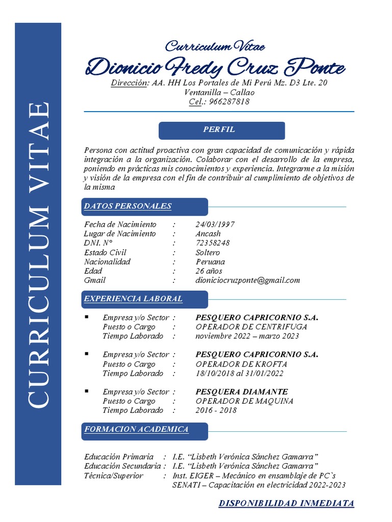 Curriculum Vitae - Dionicio Cruz Ponte - 2023 | PDF
