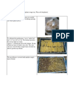 Mycoculture_PdV