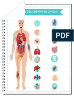 Ejercicio ADA 7 - Partes Del Cuerpo en Griego