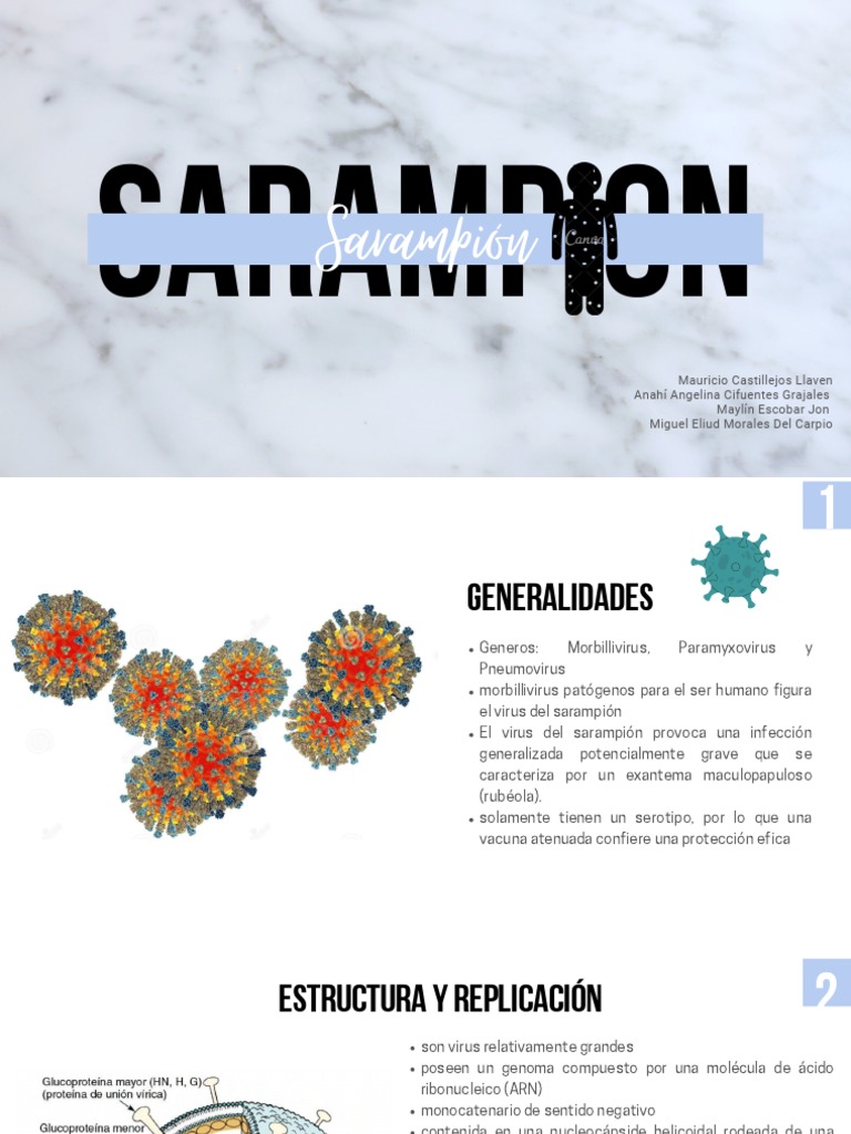 Sarampion Pdf Sarampión Virus