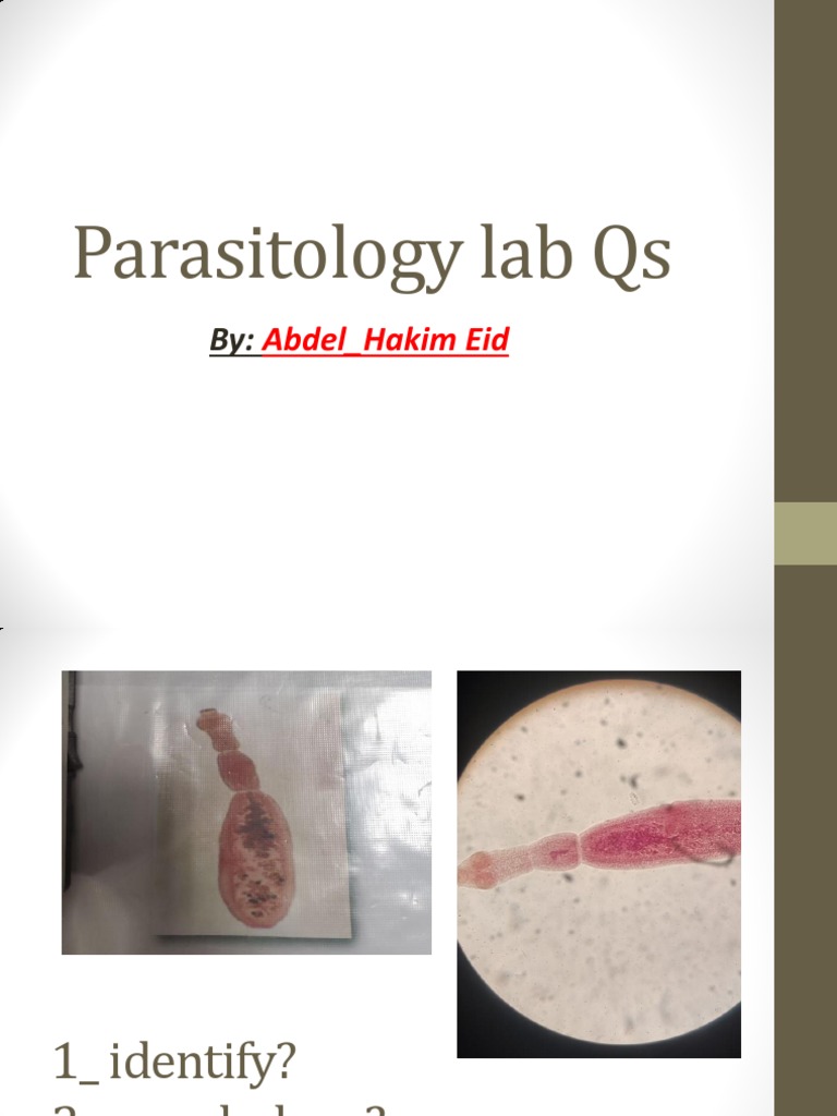 Para Lab Qs PDF