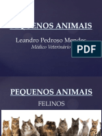 Apresentação Felinos e Outros