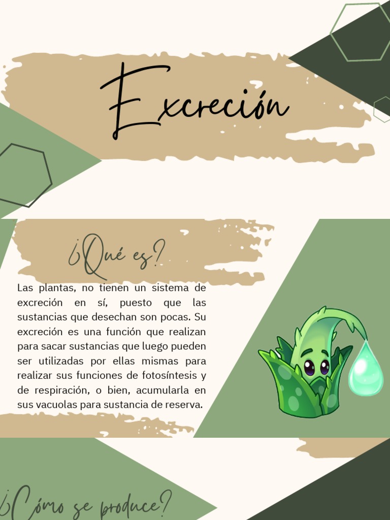Excreción, en Plantas | PDF | Excreción | Plantas