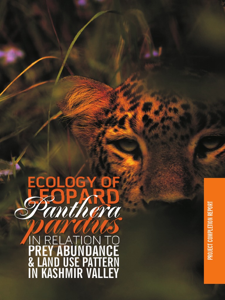 Leopard Ecology in Kashmir Valley Report | PDF | Leopard