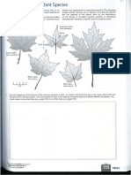 Keying Out Plant Species