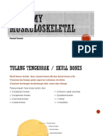 Anatomy Muskuloskeletal Facial Bone