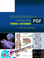 Cromososmas Citogenica