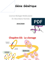 Génie Génétique: Licence Biologie Moléculaire Dr. Bouridane Hamida