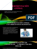 Animales Utilizados para Experimentación - Lizet Piñas Camayo 5to Secundaria