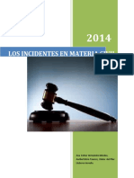 Los Incidentes en Materia Civil