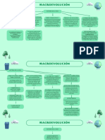 Mapa Mental Del Cuidado Del Medio Ambiente Divertido Verde