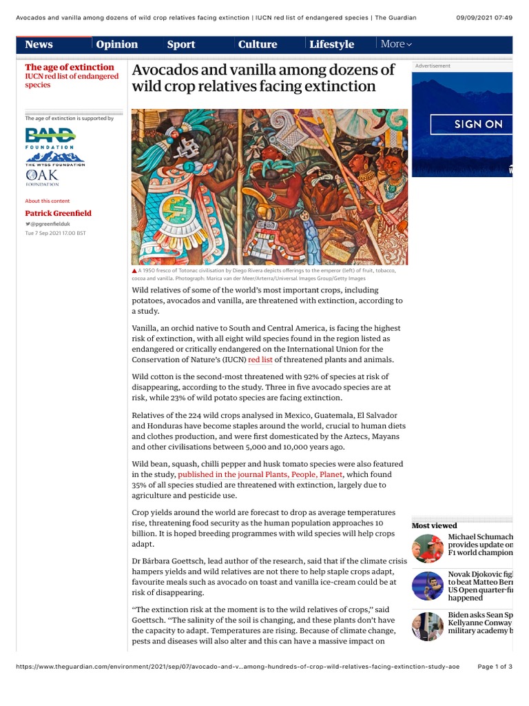 Avocados and Vanilla Extinction PDF Biodiversity Famine