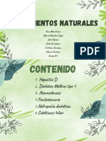 Presentación Plantas Natural Verde y Negro